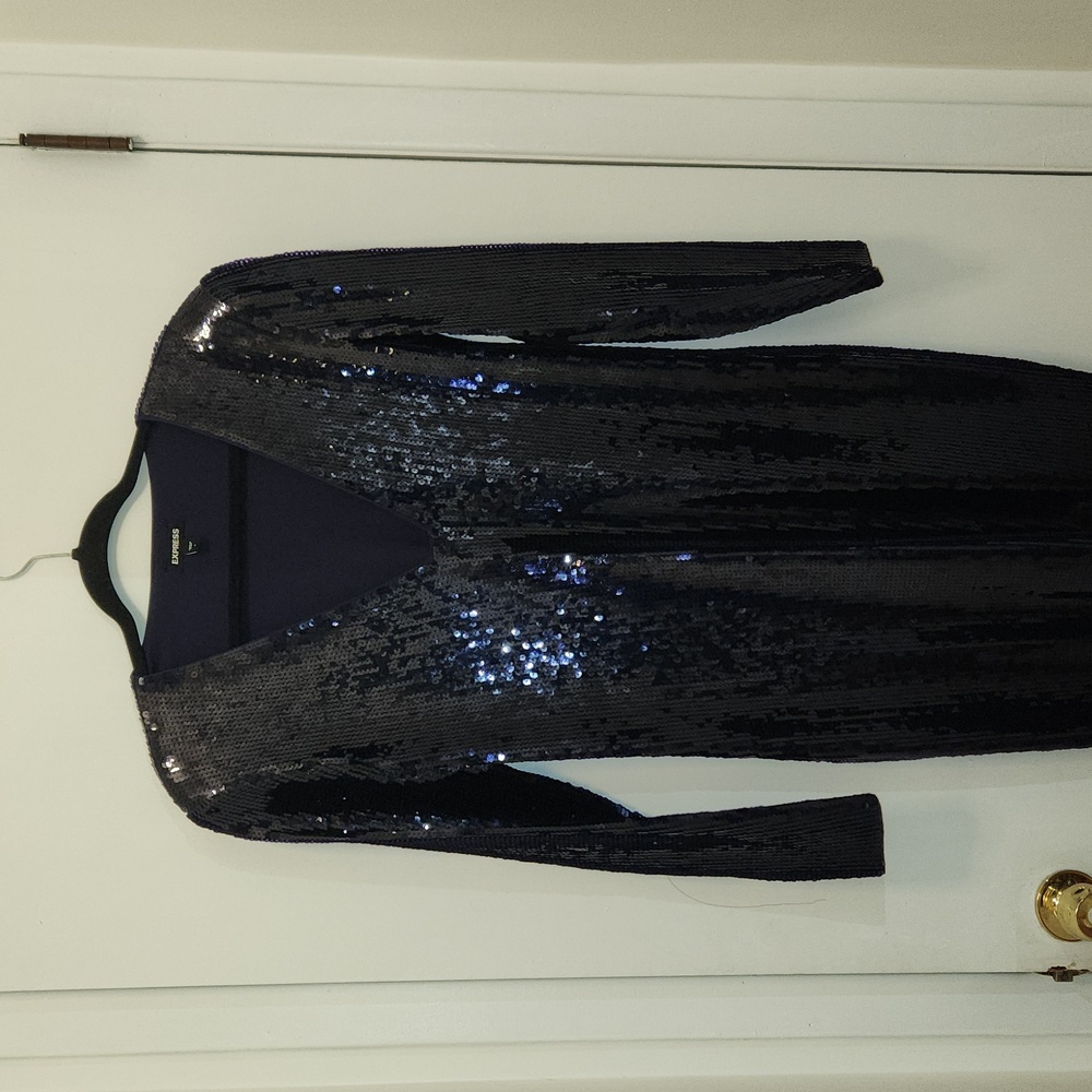 Express Sequin Dress